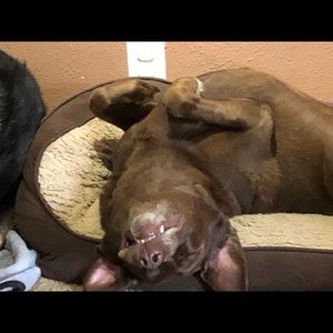 Meet your Posher, Richard